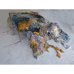 Mycoremediation